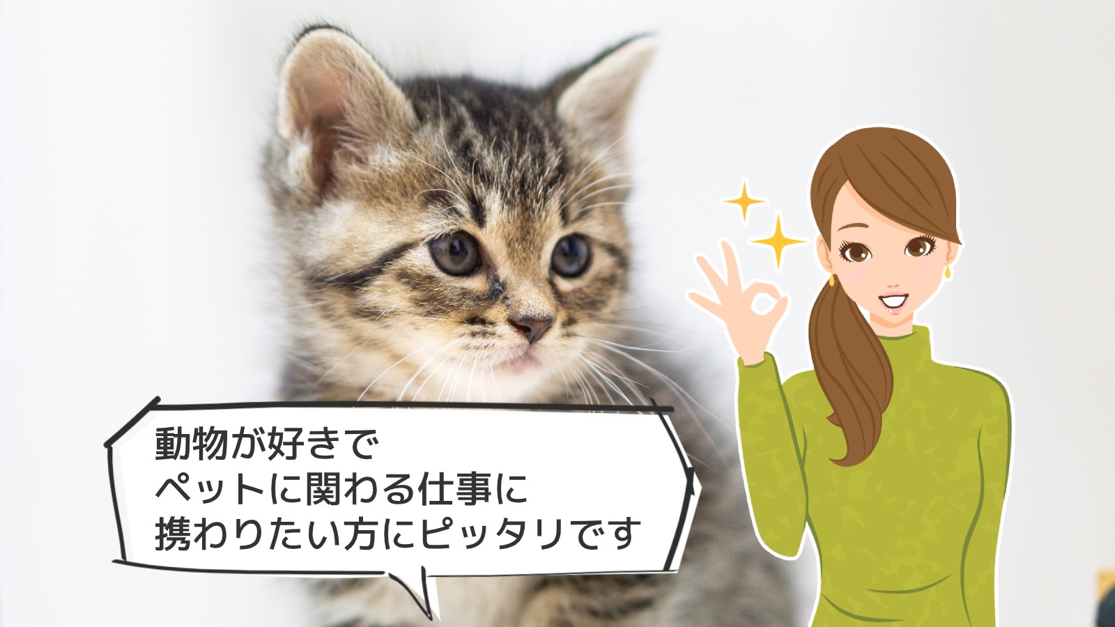 「犬・猫ペットブリーダー資格」のアイキャッチ画像