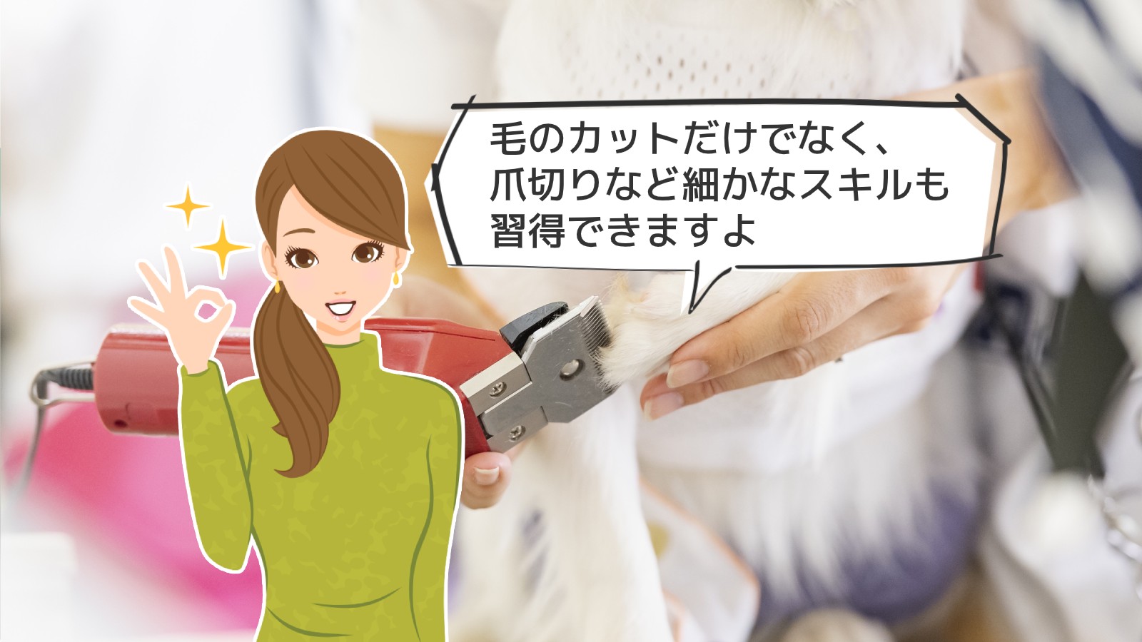 「ペットトリミングアドバイザー資格」のアイキャッチ画像