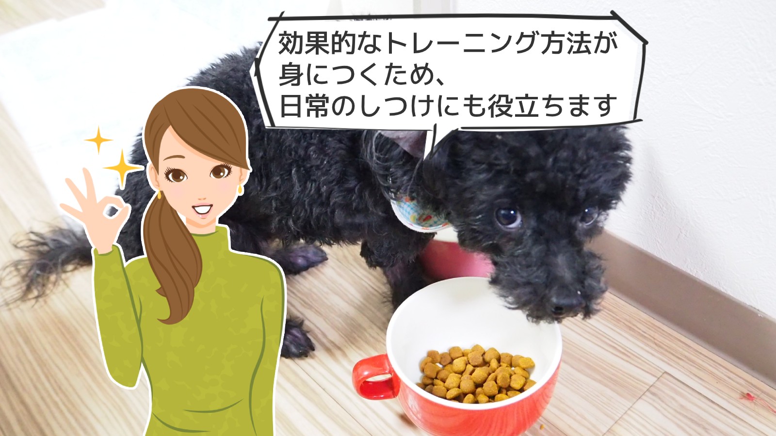 「ドッグトレーニングアドバイザー資格」のアイキャッチ画像